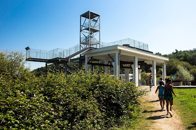 Réserve Naturelle Nationale du Marais d'Orx à Labenne