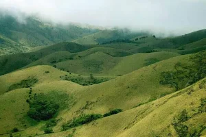 Mukurthi National Park image