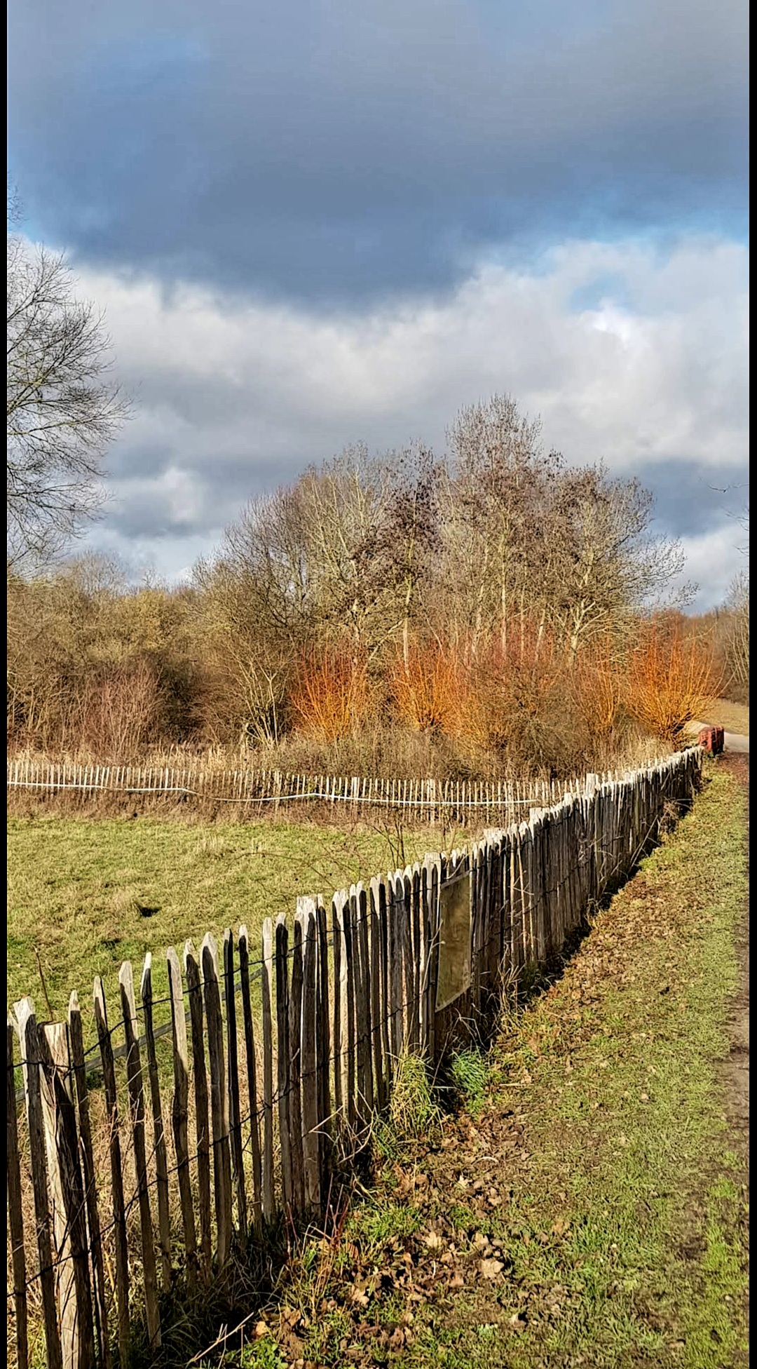 Photo n° 18 de l'avis de Michel.a fait le 20/11/2020 à 16:37