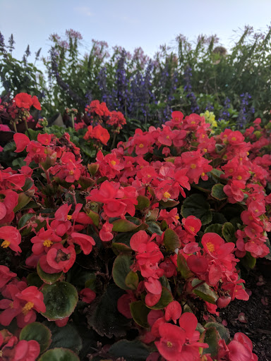 Golf Club «Kensington Golf & Country Club», reviews and photos, 2700 Pine Ridge Rd, Naples, FL 34109, USA