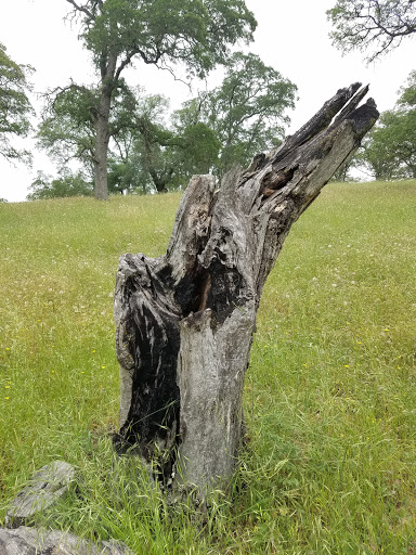 Nature Preserve «Deer Creek Hills Preserve», reviews and photos, Latrobe Rd, Sloughhouse, CA 95683, USA