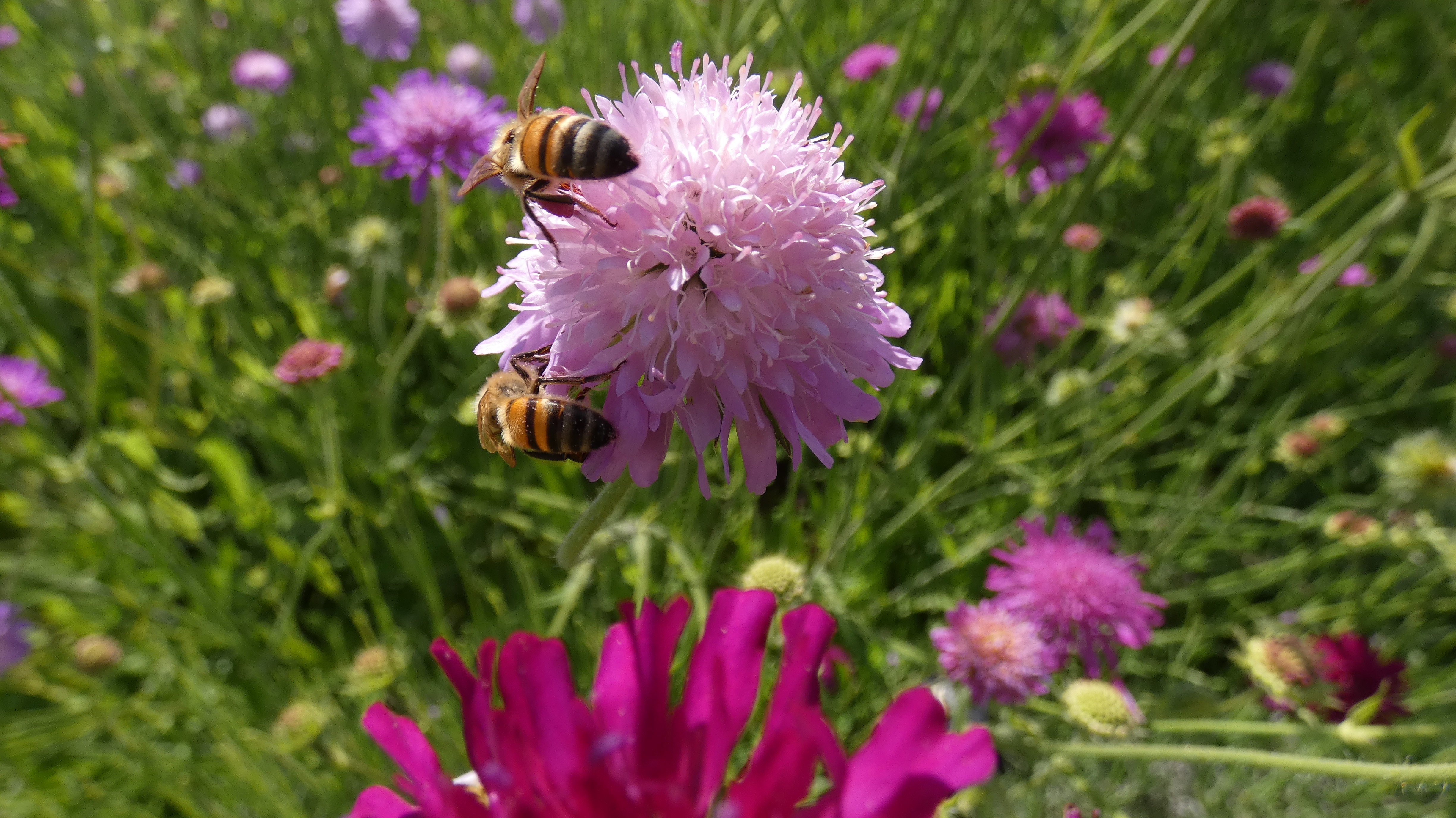 Photo n° 8 de l'avis de Christovão.l fait le 27/05/2022 à 19:51