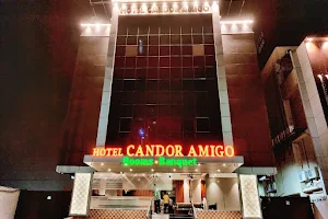 Hotel Candor Amigo image