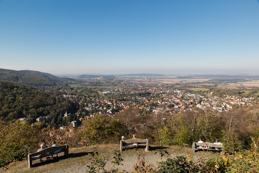 Küçük Resim 1