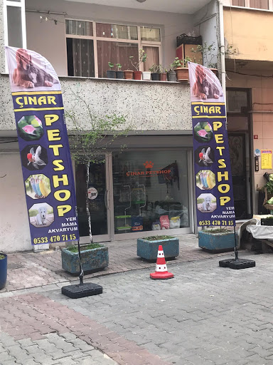 Çınar Petshop | Kağıthane İstanbul - Evcil Hayvan Malzemeleri Mağazası
