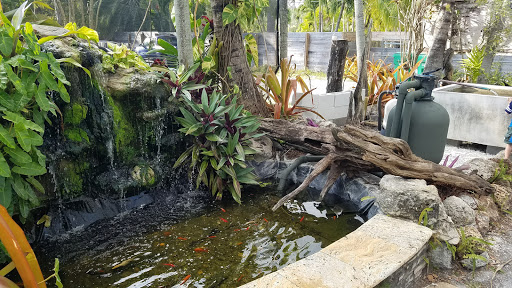 Tropical Fish Store «Neighborhood Fish Farm», reviews and photos, 12150 SW 45th St, Miami, FL 33175, USA