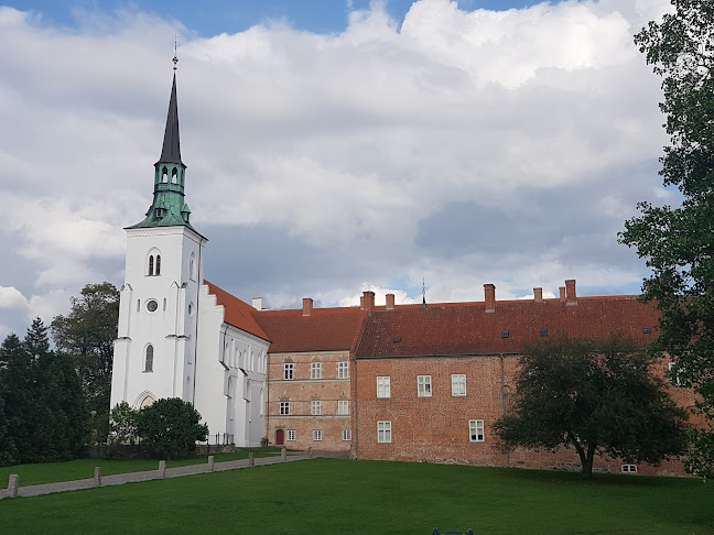 Brahetrolleborg Kirke - Ringe