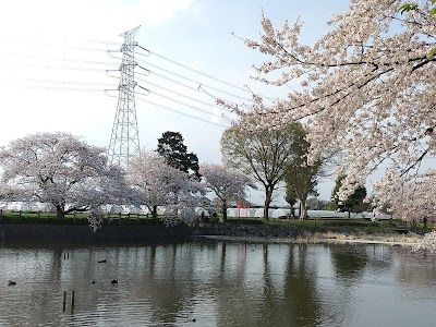 妙参寺沼親水公園