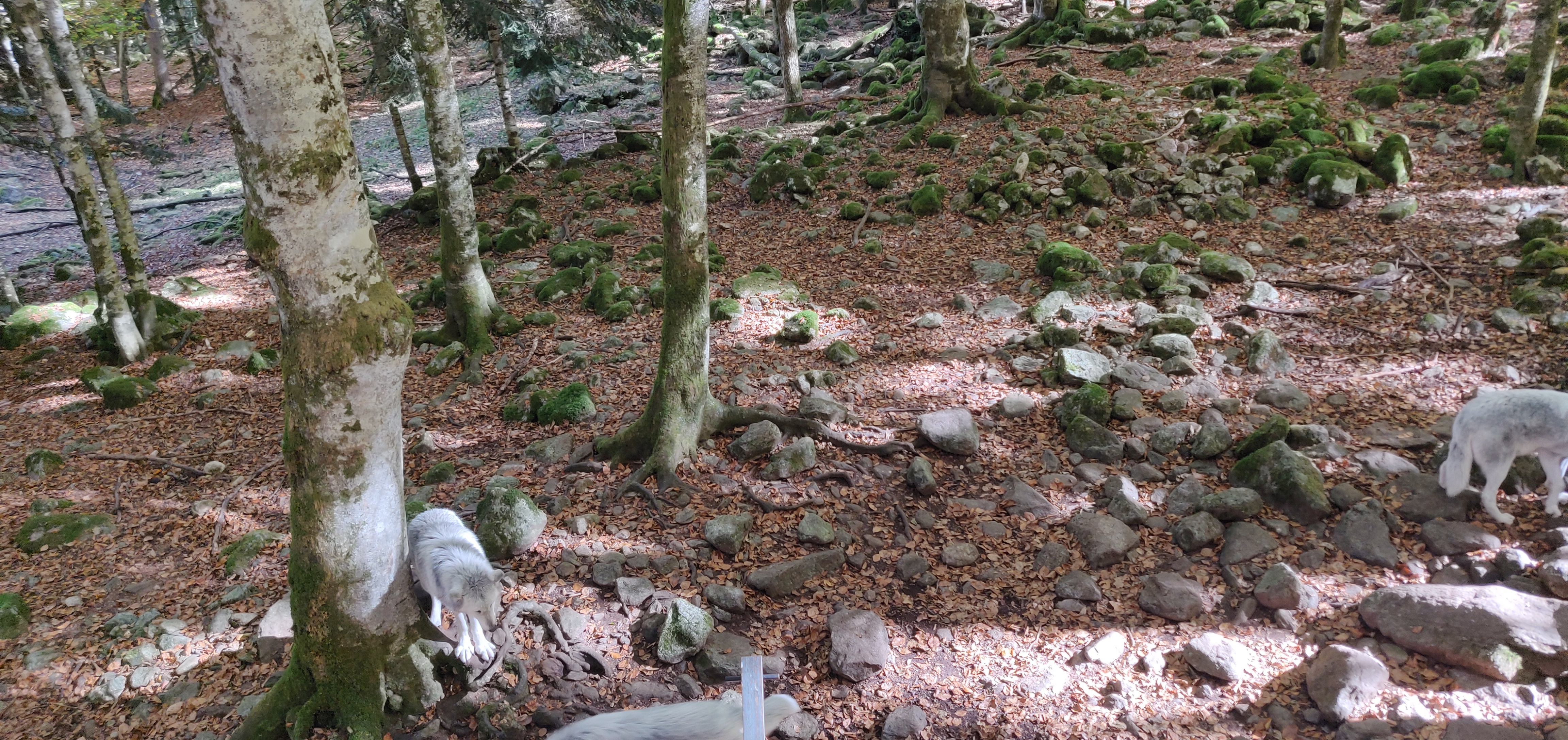 Photo n° 10 de l'avis de Arti.l fait le 29/10/2021 à 16:50