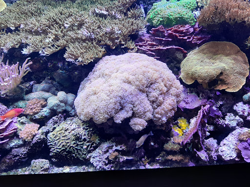 Tourist Attraction «Seattle CityPASS», reviews and photos, 400 Broad St, Seattle, WA 98109, USA