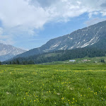 Photo n°1 de l'avis de Gaetano.E fait le 20/06/2021 à 06:19 sur le  Lieg Alm-Malga Costa (Riapriamo il 1.Giugno, wir öffnen wieder am 1.Juni) à Deutschnofen