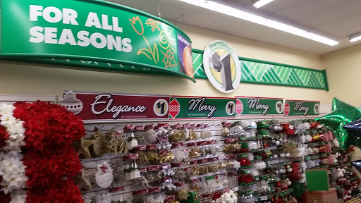 Dollar Store «Dollar Tree», reviews and photos, 1022 Mineral Wells Ave, Paris, TN 38242, USA