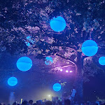 Photo n° 1 de l'avis de Mewell. fait le 31/07/2022 à 20:39 pour Les Vieilles Charrues à Carhaix-Plouguer