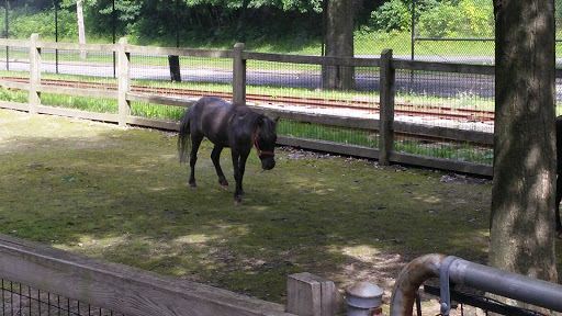 Tourist Attraction «Cleveland Zoo Train Station», reviews and photos, Wildlife Way, Cleveland, OH 44109, USA