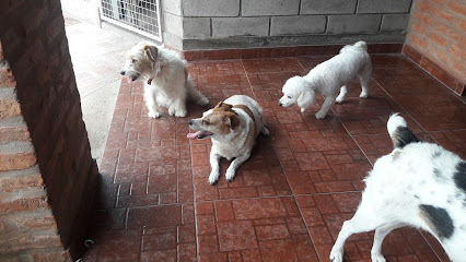 Guardería y Peluquería Canina Patita's