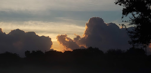 Golf Club «Polo West», reviews and photos, 2470 Greenview Cove Dr, Wellington, FL 33414, USA