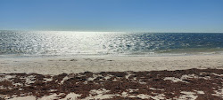 Zdjęcie Illawong Beach z powierzchnią turkusowa czysta woda