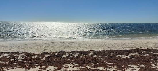 Illawong Beach