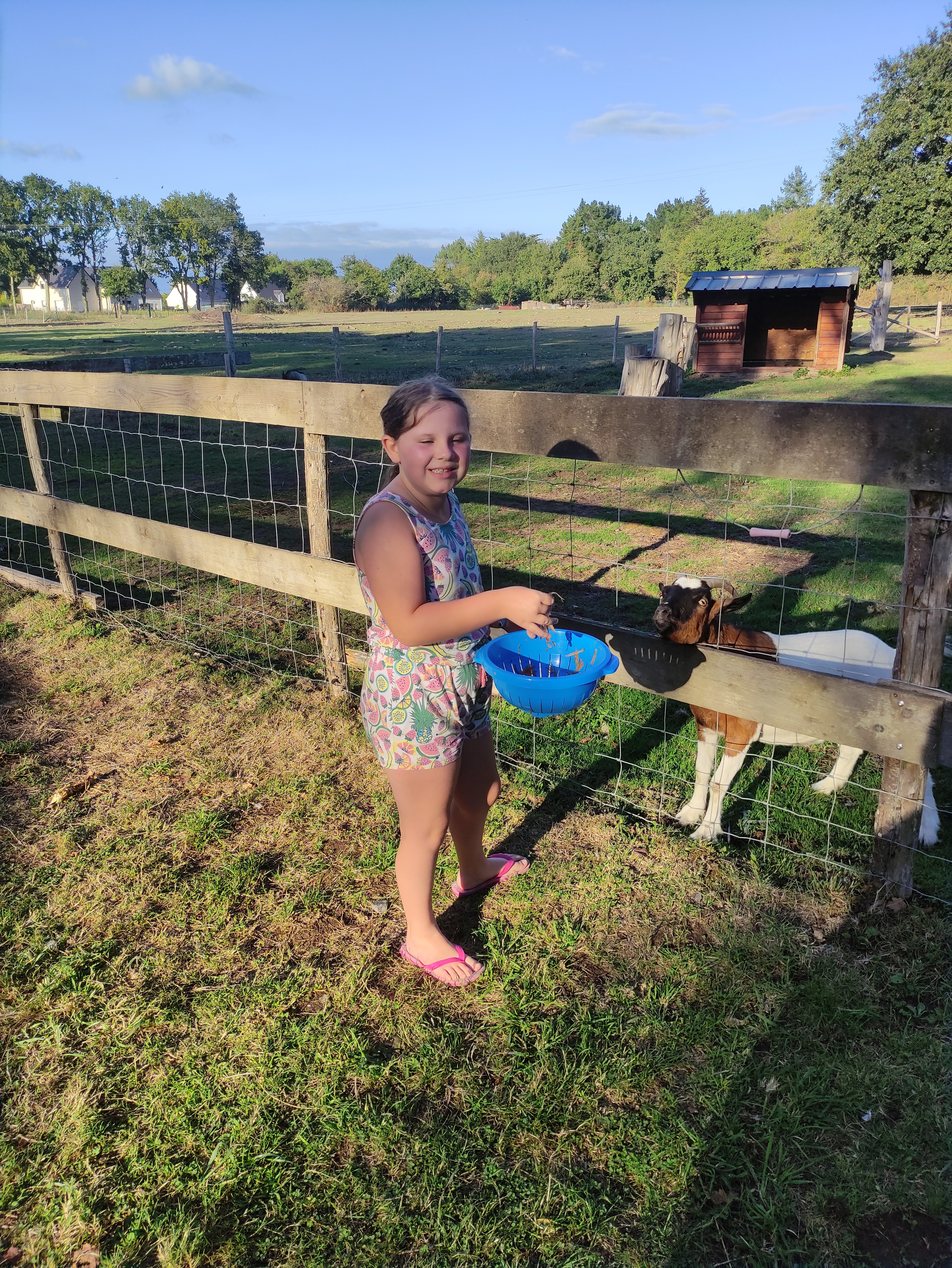 Photo n° 3 de l'avis de Marion.a fait le 18/08/2019 à 13:11