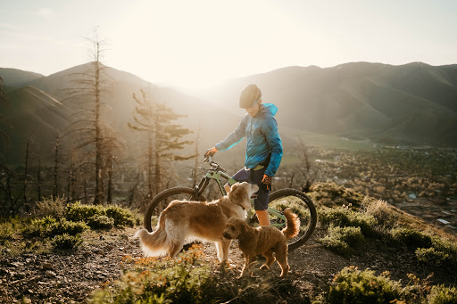 Bicycle Store «Fezzari», reviews and photos, 850 W 200 S, Lindon, UT 84042, USA