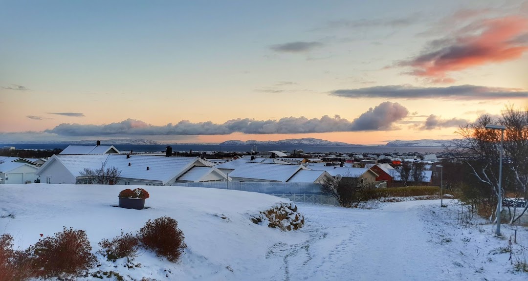 Vadsø, Norveç