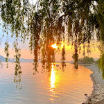 Photo n°3 de l'avis de Rainer.h fait le 07/05/2022 à 22:05 sur le  Riva Ristorante à Sipplingen