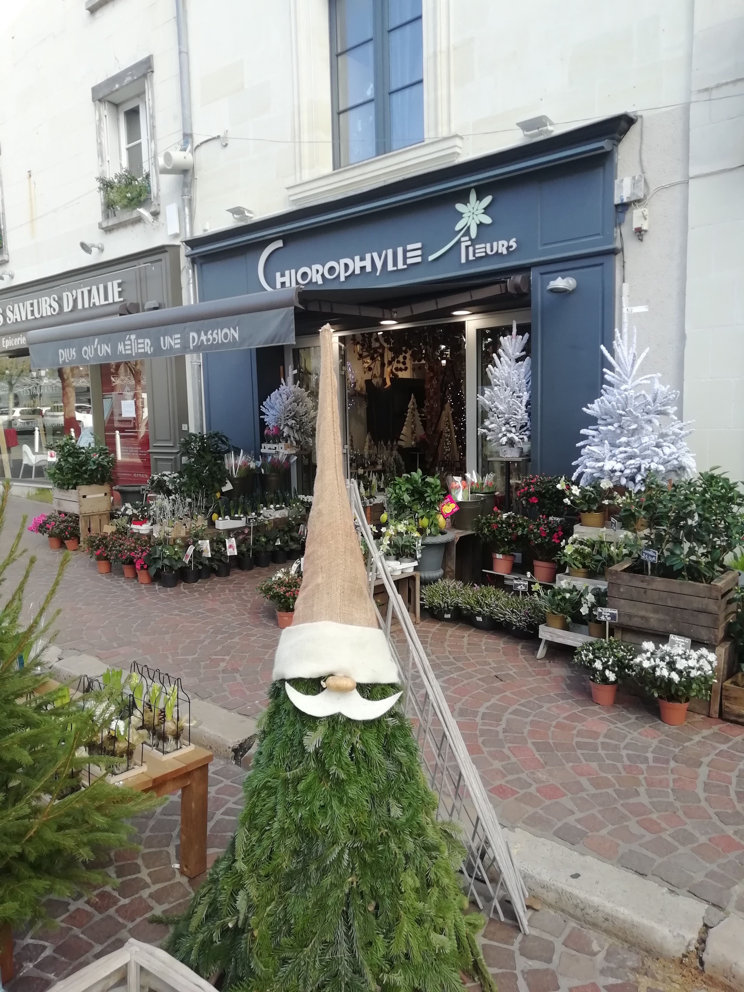 Photo n° 1 de l'avis de elise..p fait le 23/12/2019 à 15:43