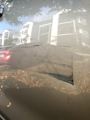 Auto Body Shop «Maaco Collision Repair & Auto Painting», reviews and photos, 1825 Powerline Rd, Deerfield Beach, FL 33442, USA