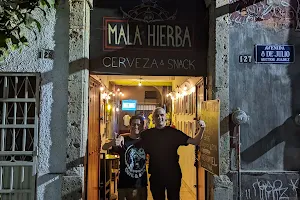 Mala Hierba image