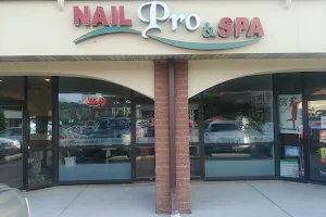 Nail Pro & Spa image