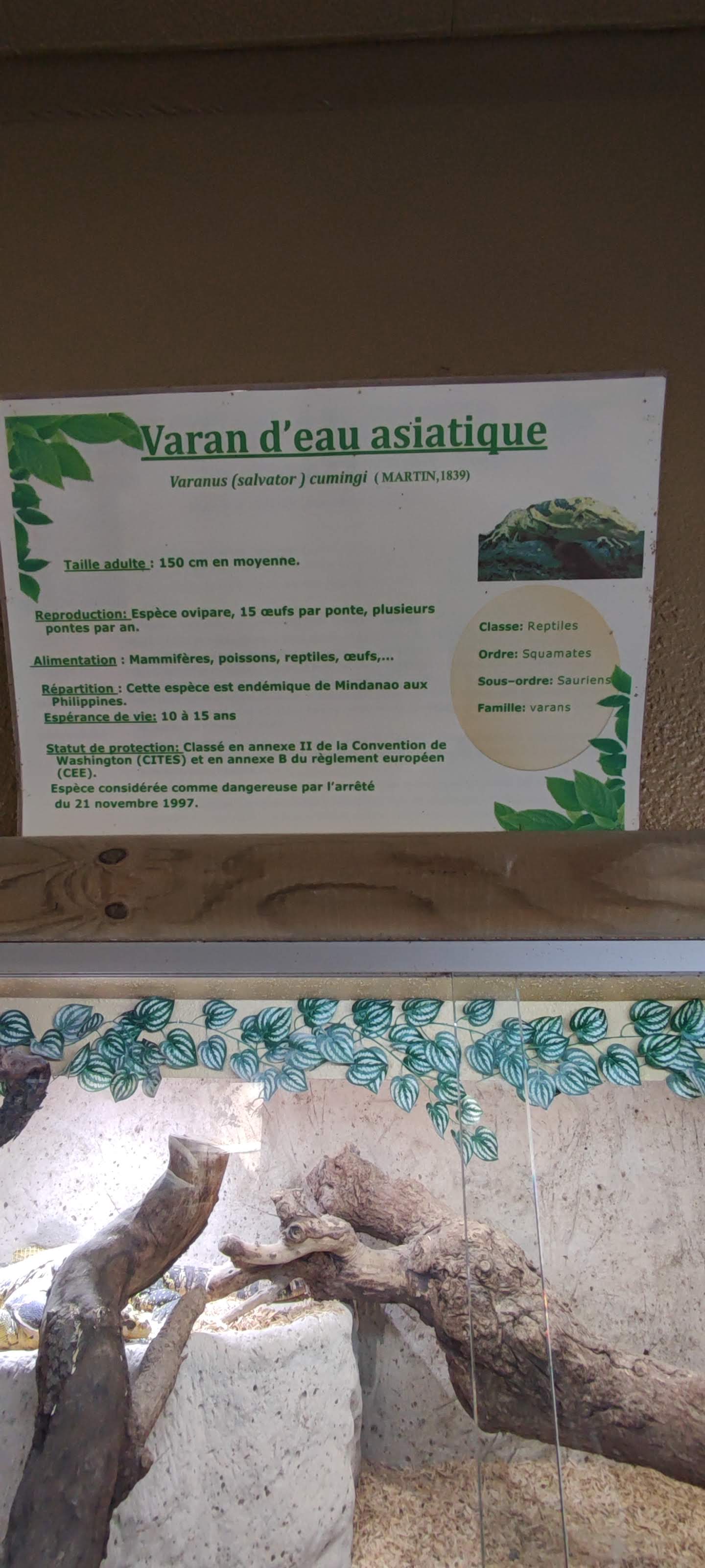 Photo n° 13 de l'avis de Yannick.o fait le 11/02/2023 à 16:29