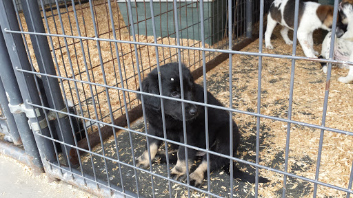 Animal Feed Store «Remnant Farms Feed & Supply», reviews and photos, 1501 Guild Rd, Woodland, WA 98674, USA