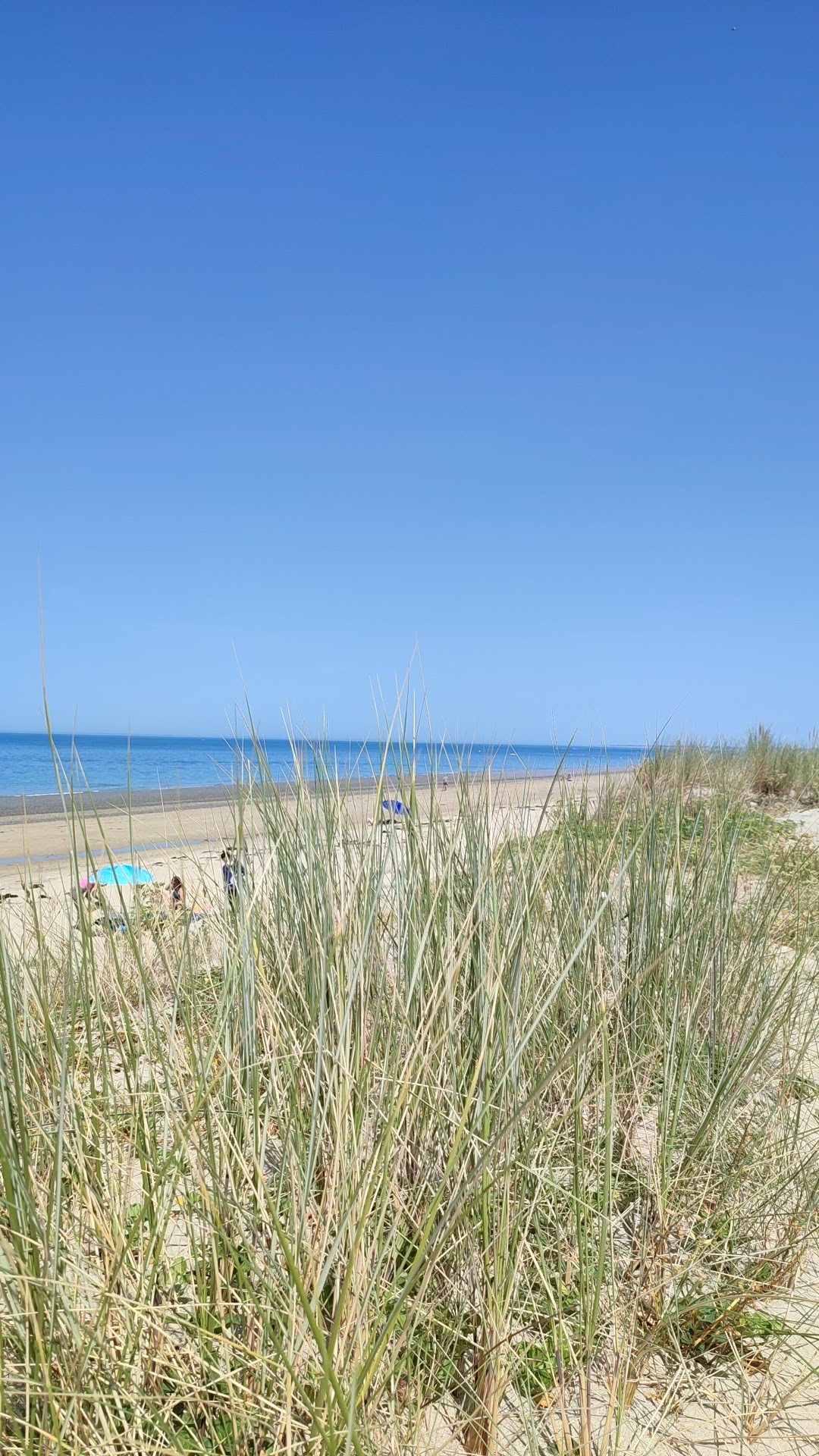 Photo n° 4 de l'avis de Bruno.l fait le 13/08/2022 à 16:51