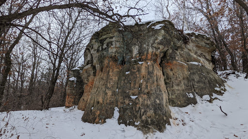 Nature Preserve «Chimney Rock Scientific and Natural Area (SNA)», reviews and photos, Joan Ave, Hastings, MN 55033, USA