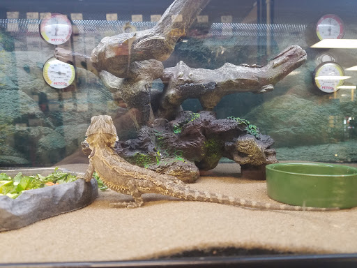 Pet Supply Store «Petco Animal Supplies», reviews and photos, 901 W Indiantown Rd #30, Jupiter, FL 33458, USA