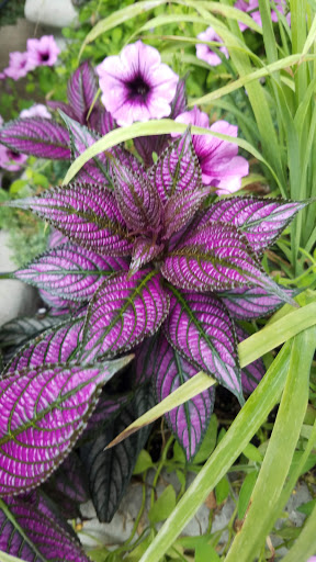 State Government Office «Wilmington State Parks», reviews and photos, 1021 W 18th St, Wilmington, DE 19802, USA