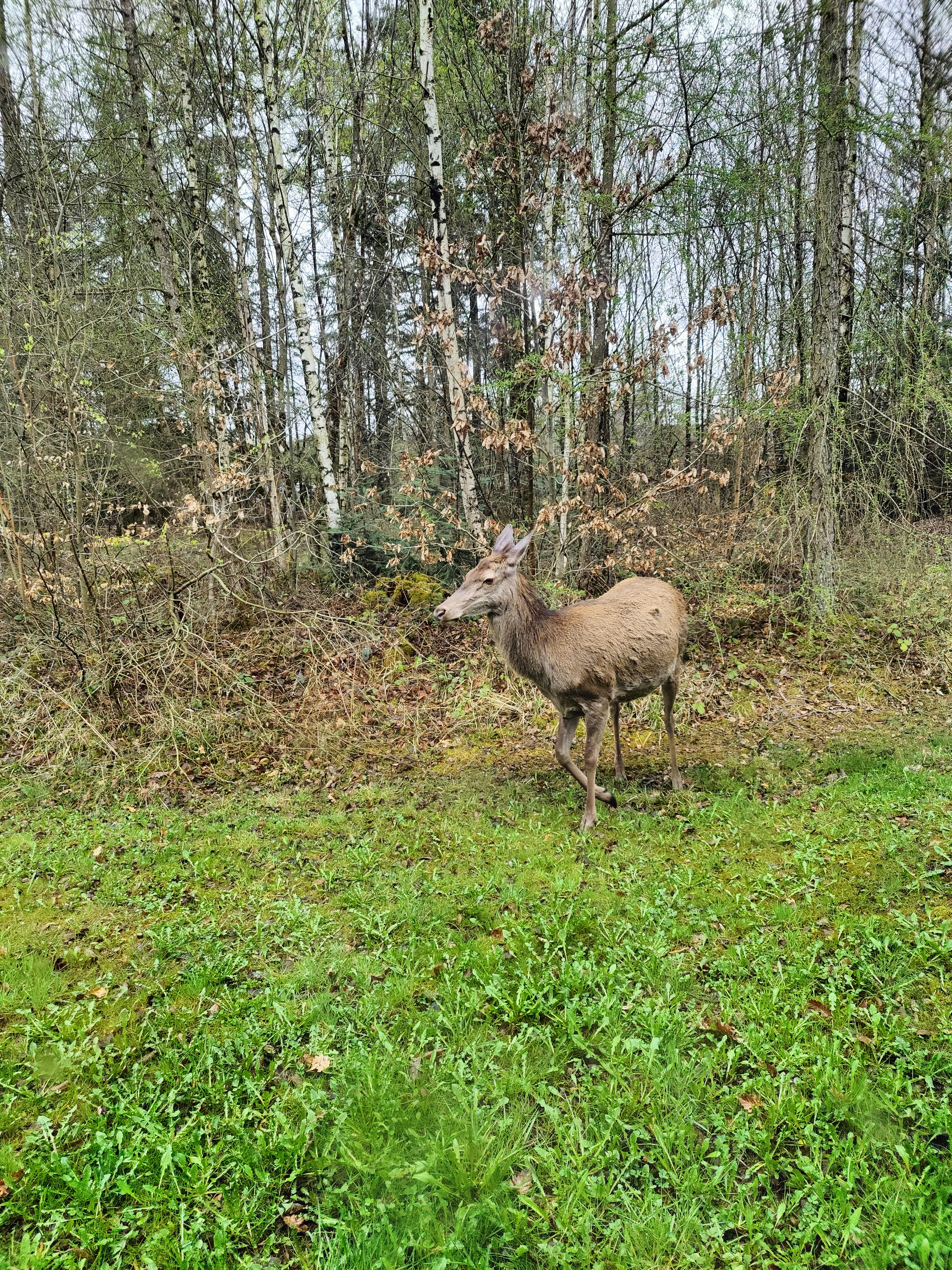 Photo n° 2 de l'avis de Pauline.a fait le 09/04/2022 à 22:14