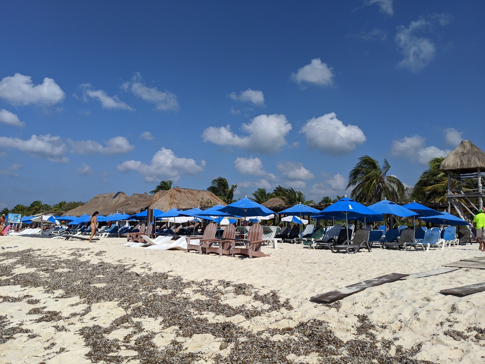Playa Punta Sur photo #8