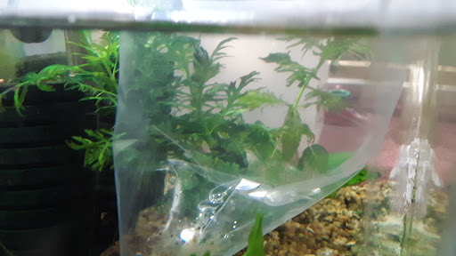 Pet Store «M V Pets», reviews and photos, 7429 S Westnedge Ave, Portage, MI 49002, USA