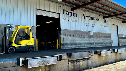 Capin-Vyborny LLC