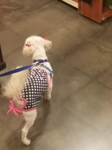 Pet Supply Store «PetSmart», reviews and photos, 2540 Cumberland Blvd SE, Smyrna, GA 30080, USA