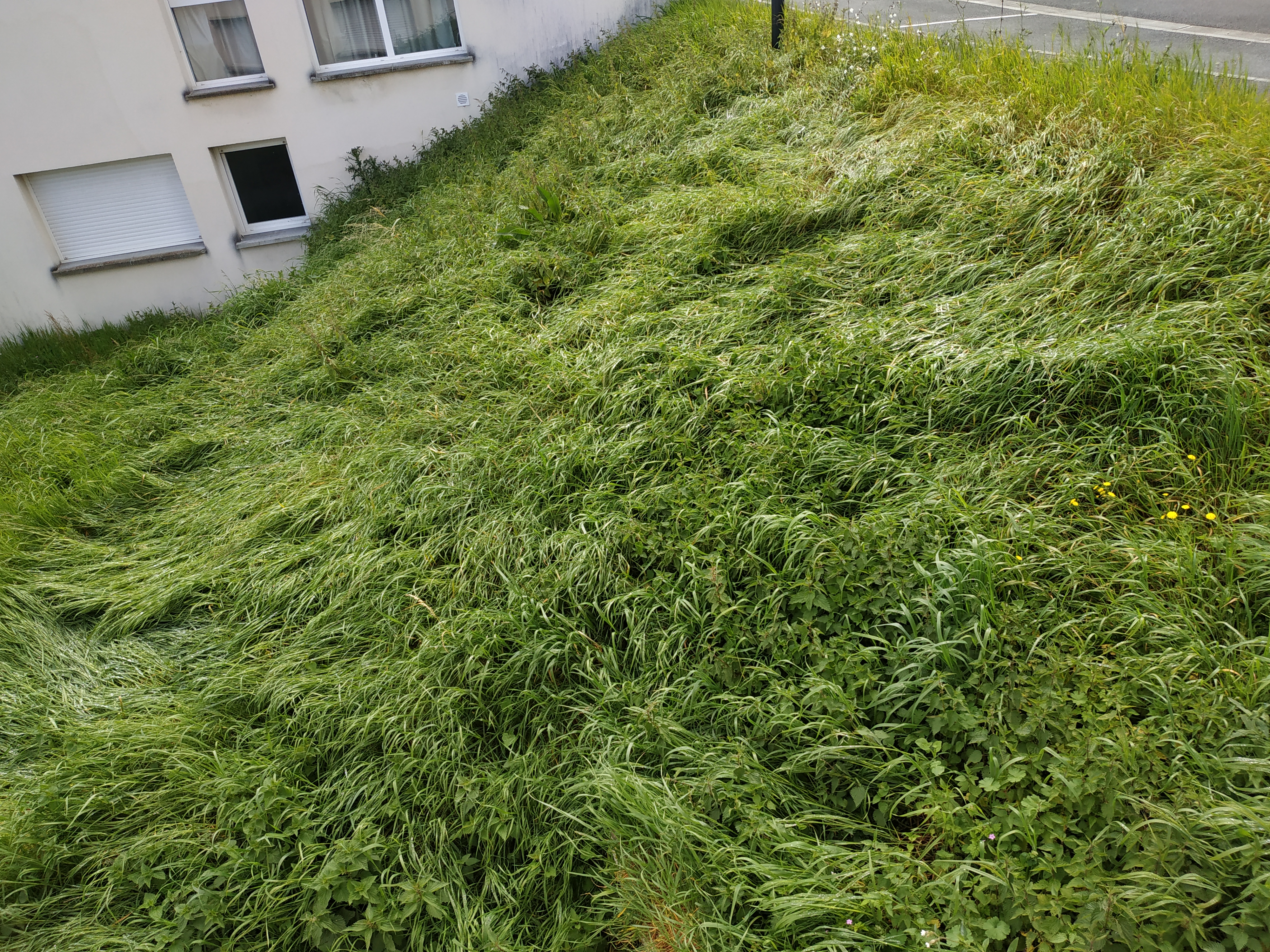 Photo n° 3 de l'avis de Flora.d fait le 26/04/2019 à 10:49