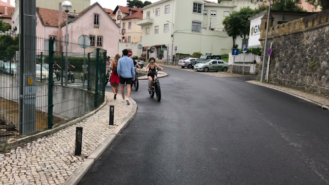 Avaliações doGo2Cintra® | Eco Tours in Sintra | E-Bikes | E- Cars | Day Tours em Sintra - Agência de viagens