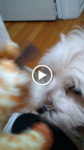 Pharmacy «Walgreens Pharmacy», reviews and photos, 2311 Ogden Ave, Aurora, IL 60504, USA