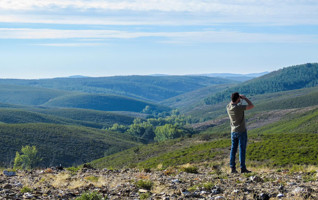 Avaliações doAnda D'i em Bragança - Agência de viagens