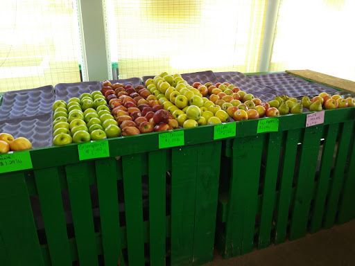 Grocery Store «Puzyckis market», reviews and photos, 15690-15698 Bedford Cir W, Clearwater, FL 33764, USA