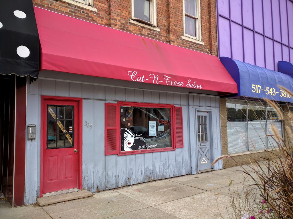 Cut-N-Tease Salon 48813