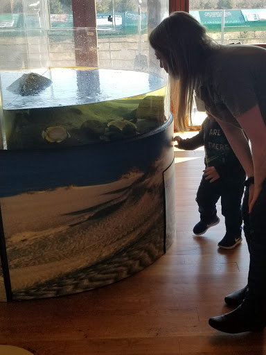 Natural History Museum «South Fork Natural History Museum & Nature Center», reviews and photos, 377 Bridgehampton-Sag Harbor Turnpike, Bridgehampton, NY 11932, USA