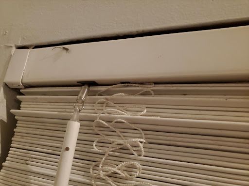 House Cleaning Service «Molly Maid», reviews and photos, 3690 W Clay St, St Charles, MO 63301, USA