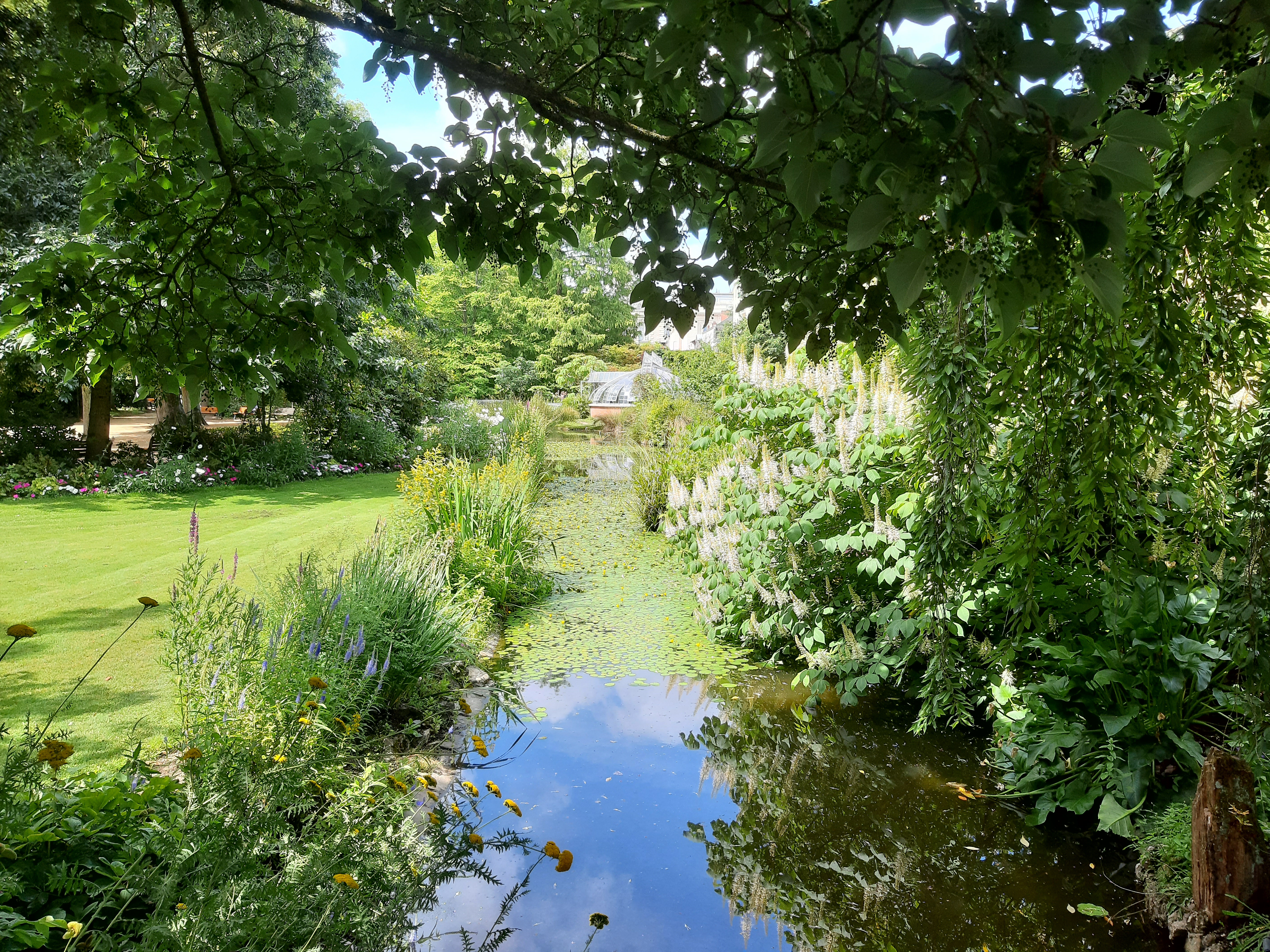 Photo n° 2 de l'avis de robert.o fait le 20/06/2023 à 18:21